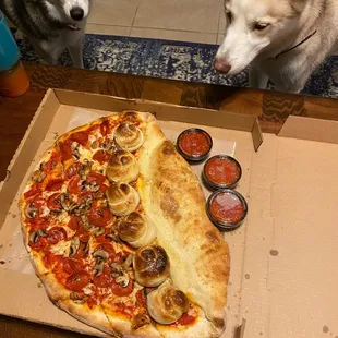 Even our dogs were mesmerized by its glory!
