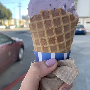 Huckleberry Ice Cream