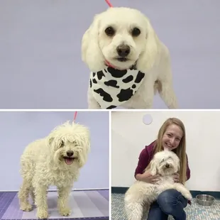 Rusty Before and After