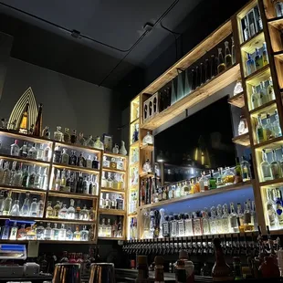 Huge selection of tequila (agave)