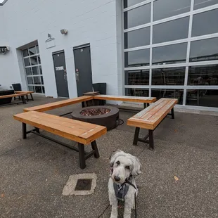 Dog-friendly patio.