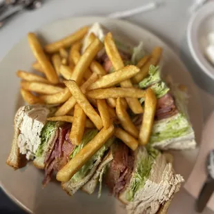a plate of french fries and a sandwich