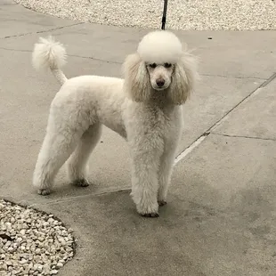 Hi im Annie