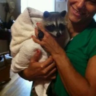 lil Missy  rescued from a dog attack.