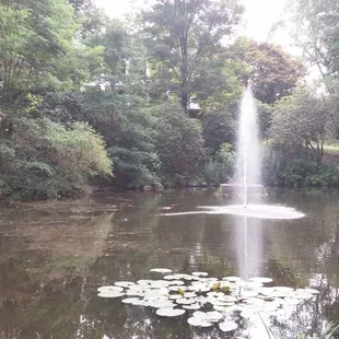 Fountain, pond and lily pads in front