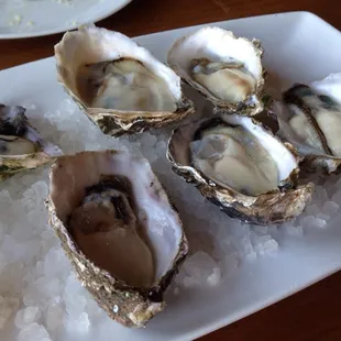 mussels, oysters, oysters and mussels, shellfish, food