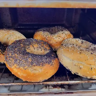 Assorted seeded bagels