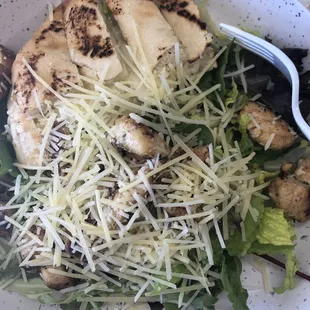 Grilled Chicken Salad