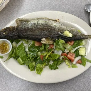 Friday special: trout with salad