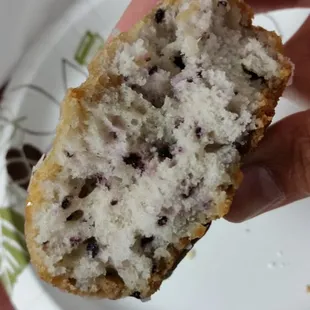 Blueberry Donut