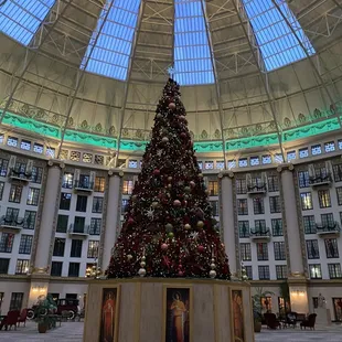 Beautiful Christmas Tree in West Baden Atrium from Ballards table on January 3rd.