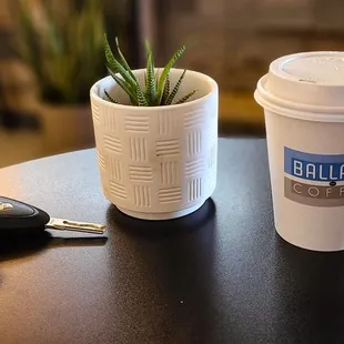 Classy cafe with a classy crew.   "Latte' to go".