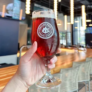 Calico amber. Photo by @martiwantsmore