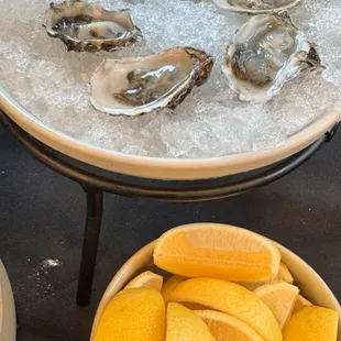 Oysters
