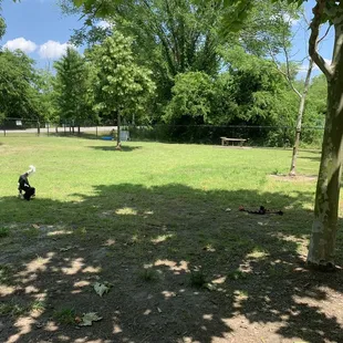 Lots of shade at 1:30