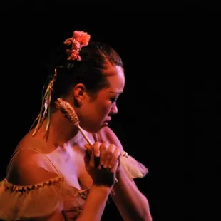 The Wayward Daughter or La Fille mal gardee, 2009