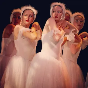 Swans fearful as the Huntsmen approach, Swan Lake June 8 2018