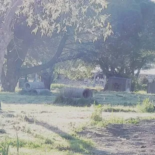 Hours of Operation: Sat &amp; Sun 9am-4pm (No experience necessary and rentals available!) Reservations 7 Days/Week www.ballisticbens.com