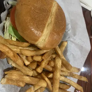 Single burger with fries