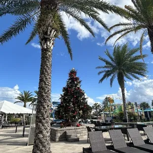 Christmas tree it is December