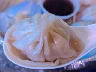 Bold Dumpling