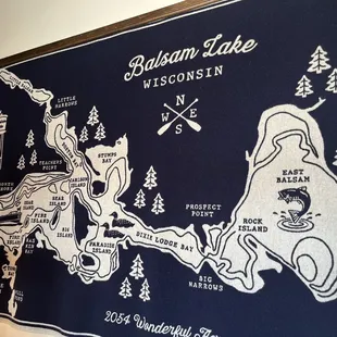 a map of balsam lake