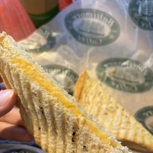 Cheese panini