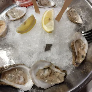 Raw Oysters