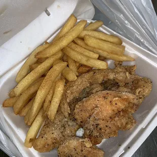 Garlic Parmesan tenders with fries