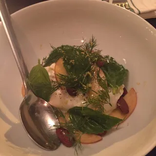 Burrata
