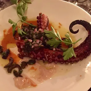 Pulpo de Playa