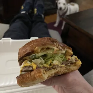 Delicious cheeseburger ft. Dog begging.