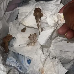 1 of ONLY 2 flat INEDIBLE chicken wing pieces