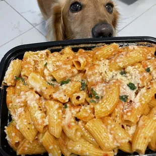 pasta