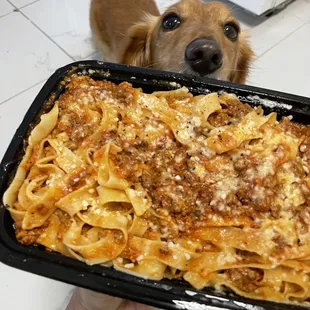 pasta