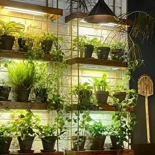 I loved the plants.