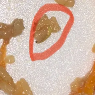 MAGGOTS! MAGGOTS! MAGGOTS!  just visited the Pflugerville location Friday, Dec 1st, 2023! DO NOT EAT HERE!!!!!