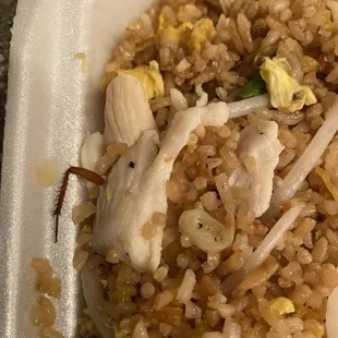 A roach leg in my food!!!