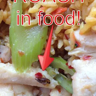 Found a roach in my food!