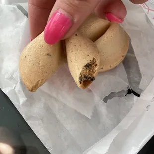 mold on fortune cookie