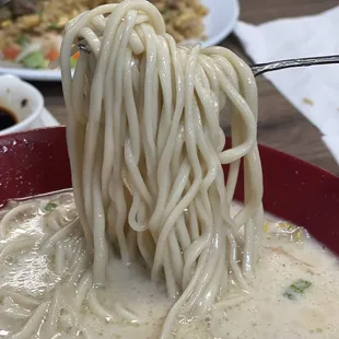 Hand Pulled Noodles