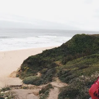 Morgan D.