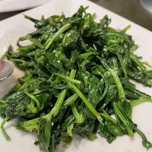 Snow Pea Leaves
