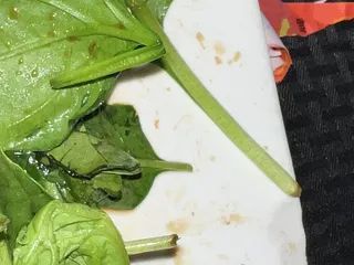 Lantern House Asian Bistro