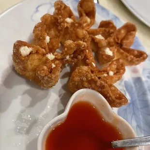 a plate of fried food