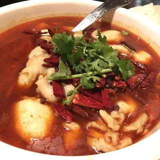Red Revolution fish