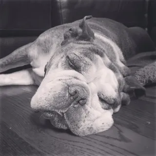 D C.
