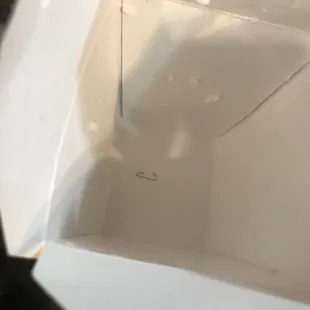 Staple in our steamed rice. Thank goodness it was seen before eaten!