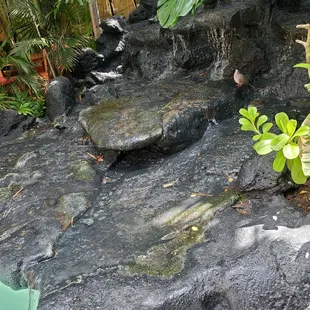 The water fall that leads to the pool.
