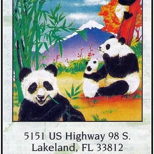 two panda bears sitting on the ground